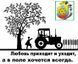 Нож фрезы КФГ левый/правый (5 мм) цена, опт, ЗАВОД ПРОИЗВОДИТЕЛЬ! ОД 3.251-134 фото 2