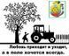 Лапа 270 мм.напл. Одесская. ст.65Г цена, опт, ЗАВОД ПРОИЗВОДИТЕЛЬ! ОД 3.251-14 фото 2